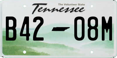 TN license plate B4208M