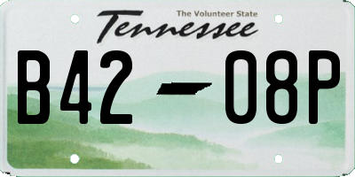 TN license plate B4208P