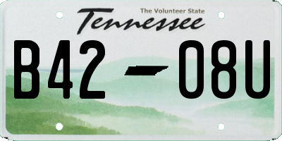 TN license plate B4208U