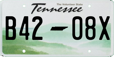 TN license plate B4208X
