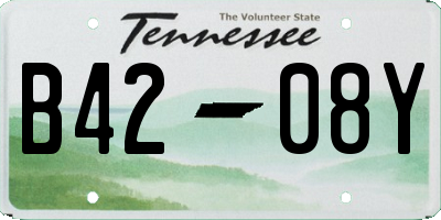 TN license plate B4208Y