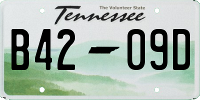 TN license plate B4209D