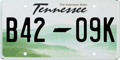 TN license plate B4209K