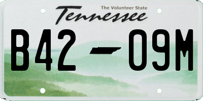 TN license plate B4209M