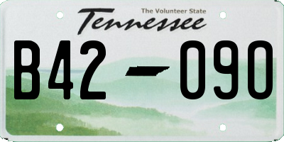 TN license plate B4209O