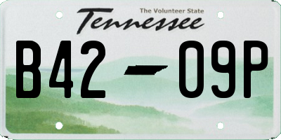 TN license plate B4209P