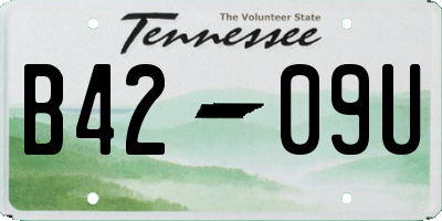 TN license plate B4209U