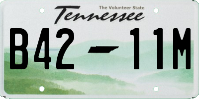 TN license plate B4211M