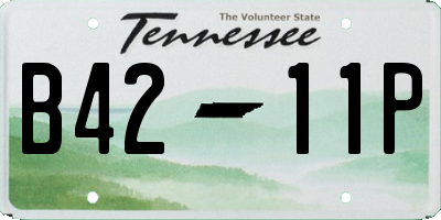 TN license plate B4211P