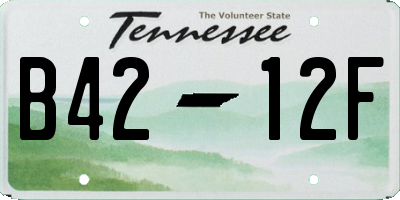 TN license plate B4212F