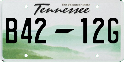 TN license plate B4212G