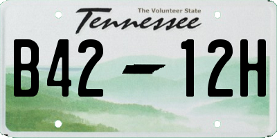 TN license plate B4212H