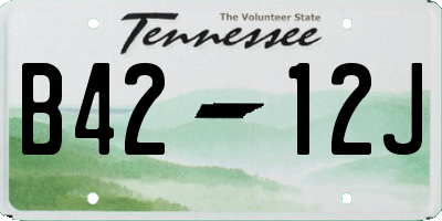 TN license plate B4212J