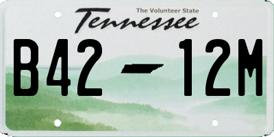 TN license plate B4212M