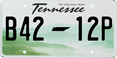 TN license plate B4212P