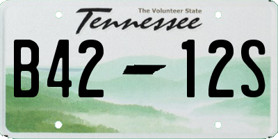 TN license plate B4212S