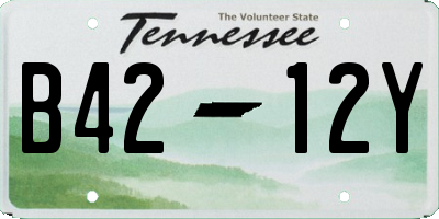 TN license plate B4212Y