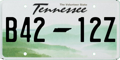 TN license plate B4212Z