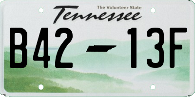 TN license plate B4213F