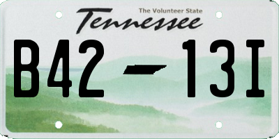 TN license plate B4213I