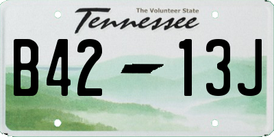 TN license plate B4213J