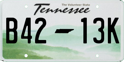 TN license plate B4213K