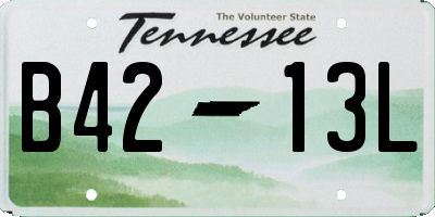 TN license plate B4213L