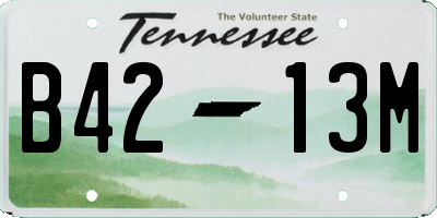 TN license plate B4213M