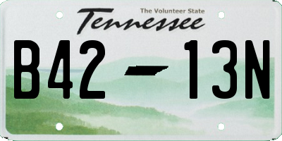TN license plate B4213N
