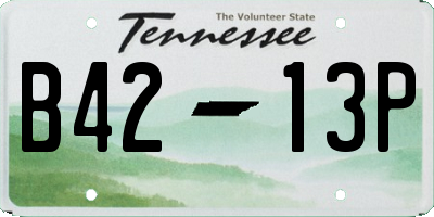 TN license plate B4213P