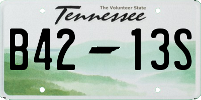TN license plate B4213S