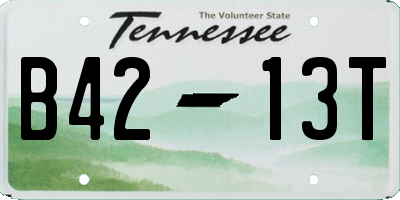 TN license plate B4213T
