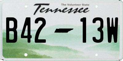 TN license plate B4213W