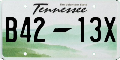 TN license plate B4213X