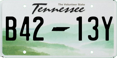 TN license plate B4213Y