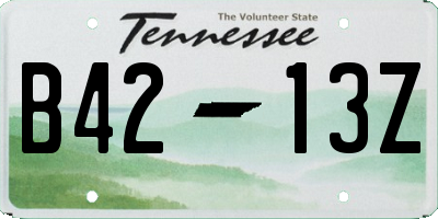 TN license plate B4213Z