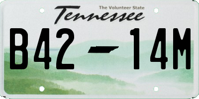 TN license plate B4214M