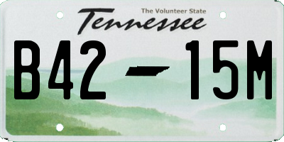 TN license plate B4215M