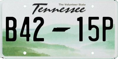 TN license plate B4215P