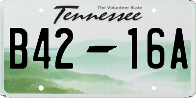 TN license plate B4216A