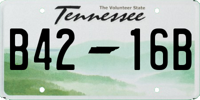 TN license plate B4216B