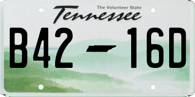 TN license plate B4216D