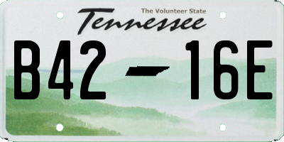 TN license plate B4216E