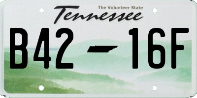 TN license plate B4216F