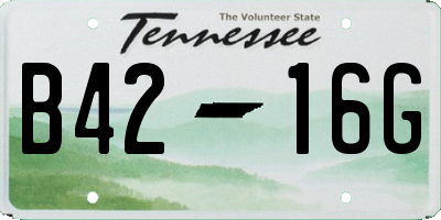 TN license plate B4216G