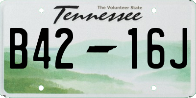 TN license plate B4216J