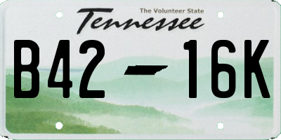 TN license plate B4216K