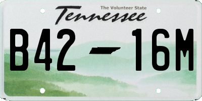 TN license plate B4216M