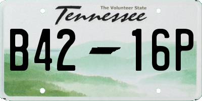 TN license plate B4216P