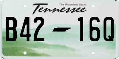 TN license plate B4216Q